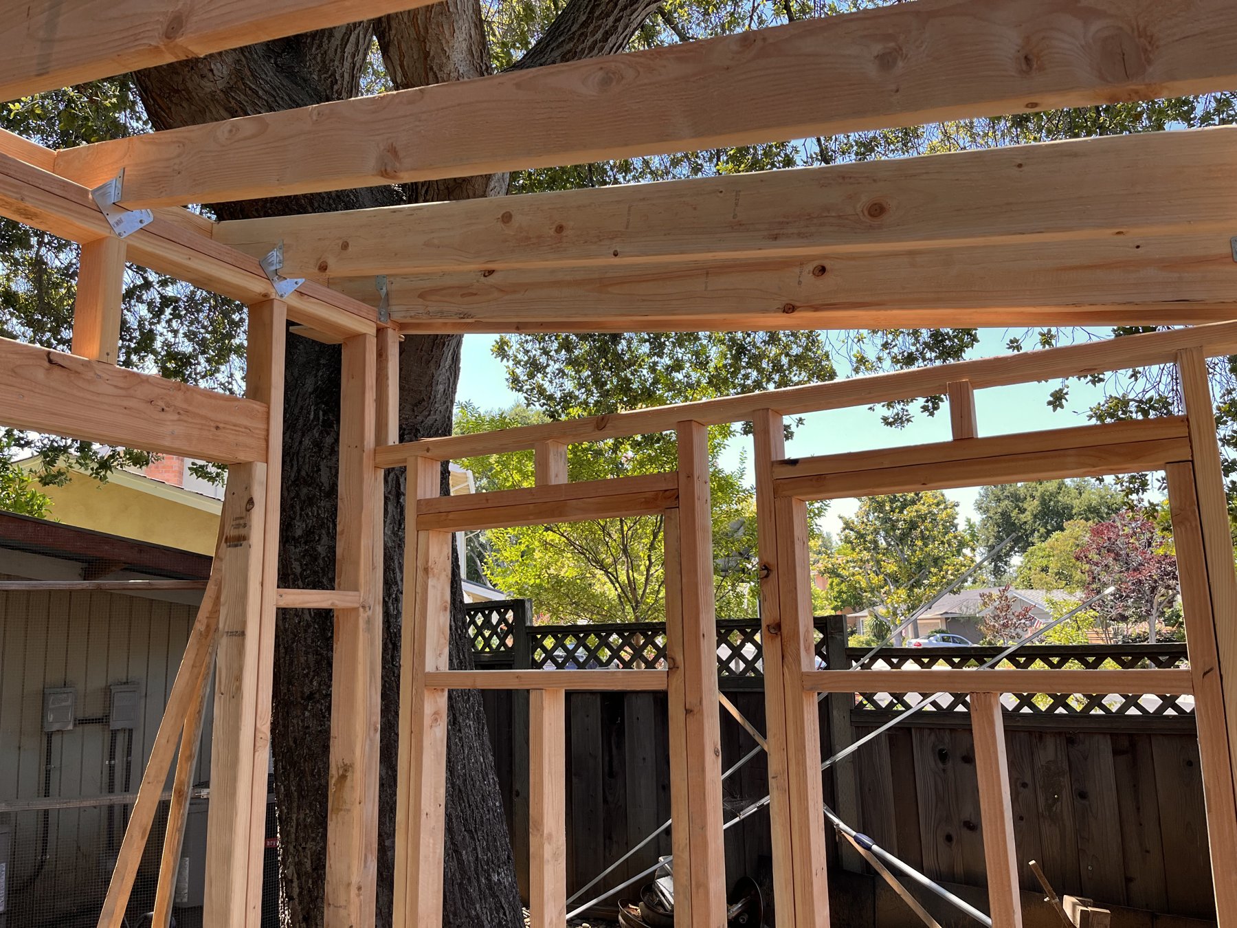 Walls, openings, and roof