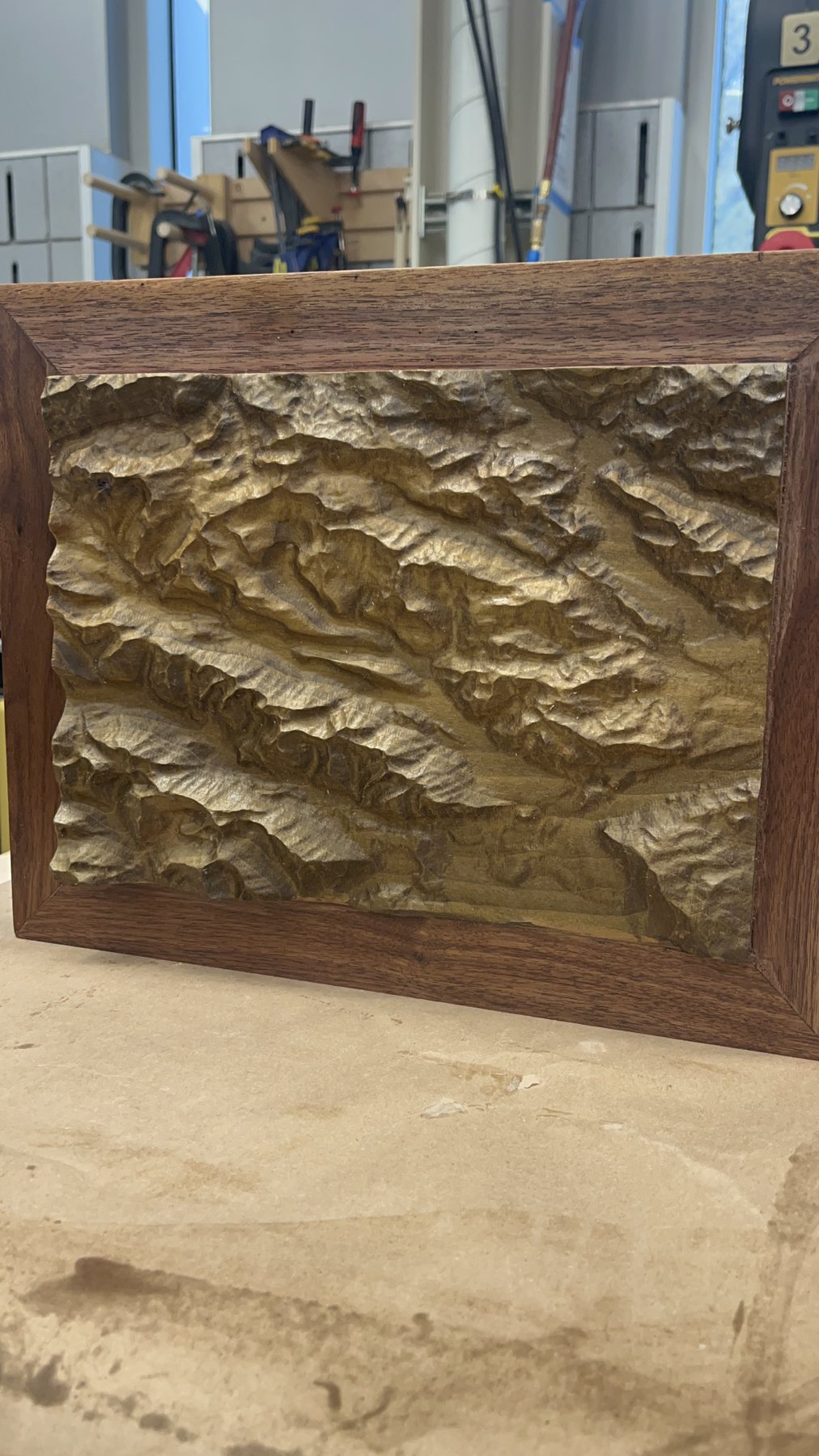 Relief Map